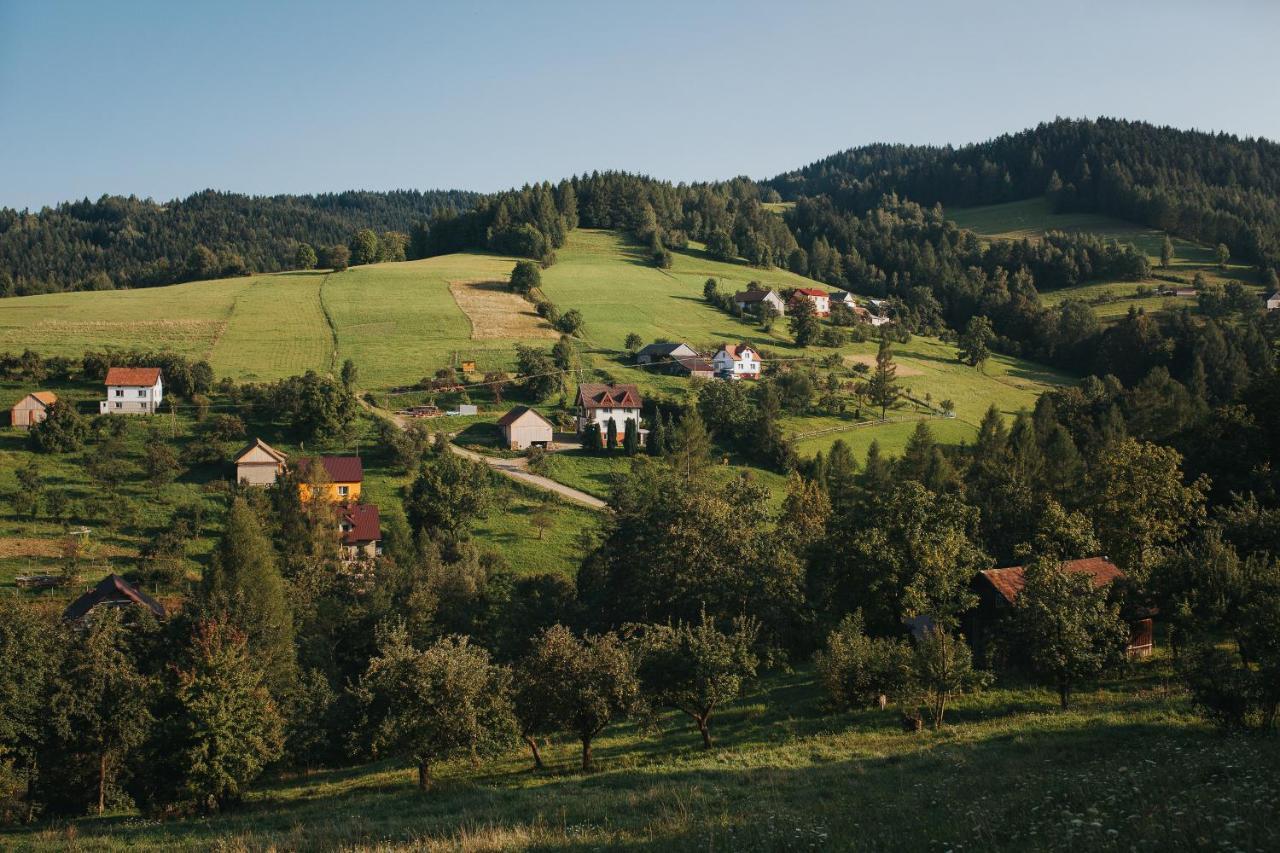 Pasieka - Dom Wypoczynkowy Bacza Zewnętrze zdjęcie
